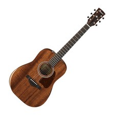 Ibanez Artwood AW54JR Acoustic