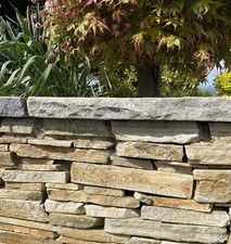 Copings: Tumbled Style Natural Galaxy Sandstone 600x225mm Wall Coping; Delivered