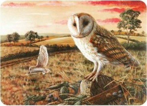 Barn owl tuftop worktop saver - barn,