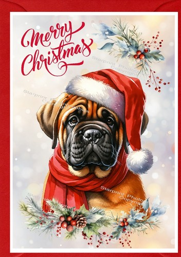 Bullmastiff dog christmas card - christmas,
