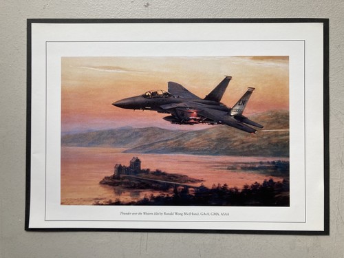 Military aviation print - military,
