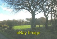 Photo 6x4 Pasture land between