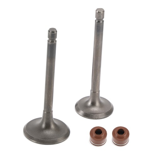 Head intake exhaust valves - intake,