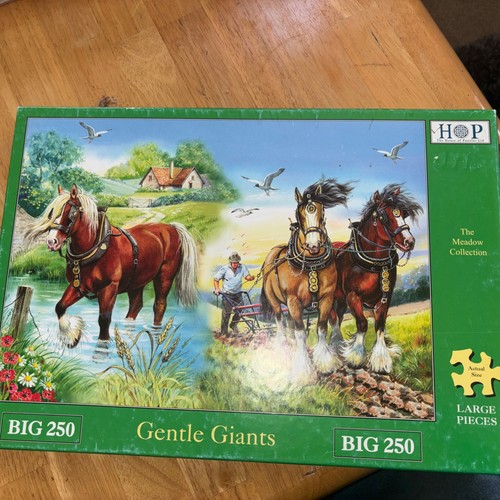 House puzzles big - of,