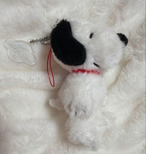 Usj limited snoopy - snoopy, plush