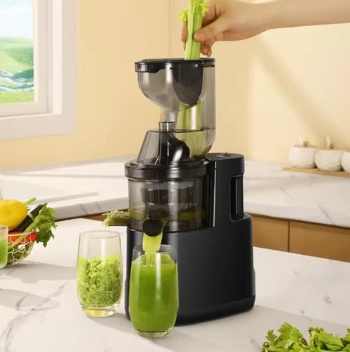 Cold press slow juicer - press,