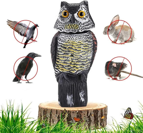 Large decoy owl - owl, bird