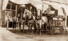 RPPC Photo of Very Rare Horse