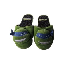 Nickelodeon Boy's Teenage