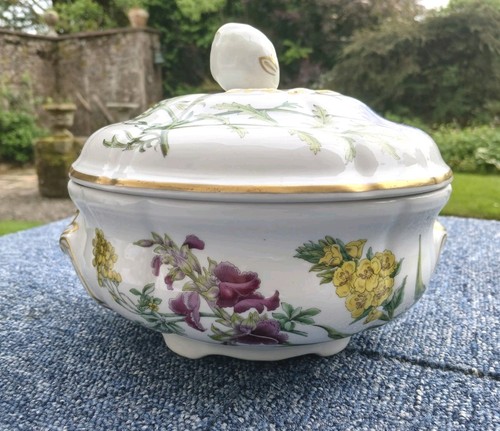 Spode stafford flowers - spode,