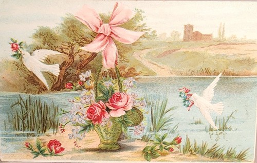 1908 happy years doves - 1908, doves"