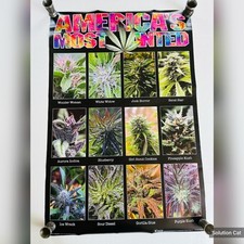Americas Most Wanted Cannabis Large Wall Poster College Collection 24x36 inch
