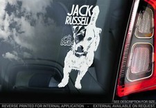 Jack Russel Terrier Car