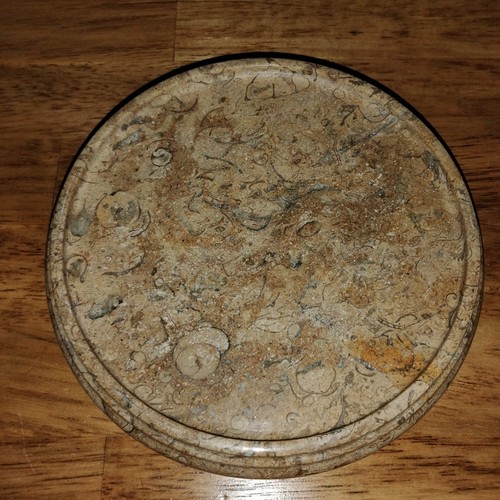 Carved natural fossil stone - fossil,