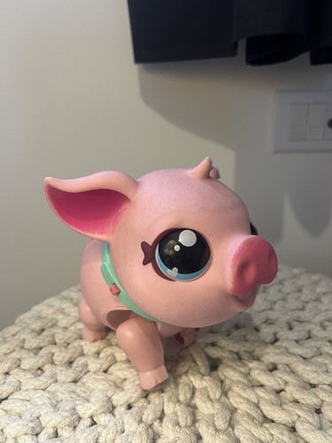 Little live pets pet pig - live,