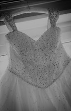 Morilee Gorgeous Ladies