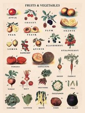 Fruits And Vegetables METAL