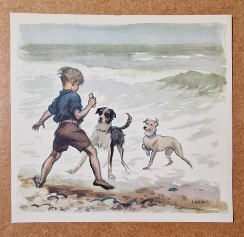 Dowd water dogs - j.h., beach