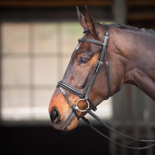 Shires velociti gara - velociti, comfort