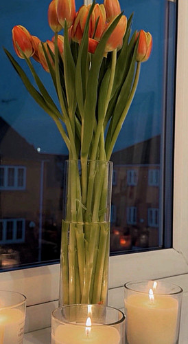 Clear glass cylinder vase - clear,