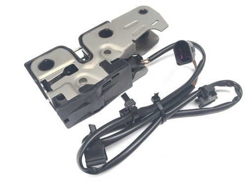 Lower bonnet lock - lower, catch