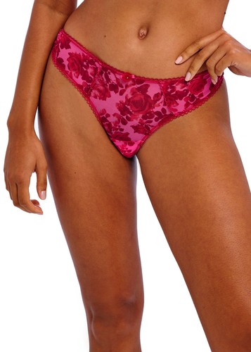 Freya rose blossom - blossom, red