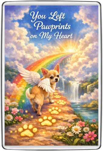 Rainbow bridge chihuahua angel - rainbow,