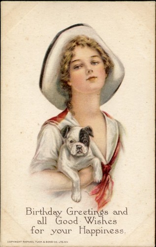 Bulldog english british - bulldog,