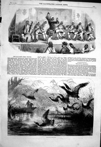 Wild fowl birds shooting - wild,