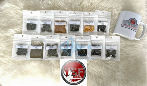 Cologne shrimp food csf - cologne,
