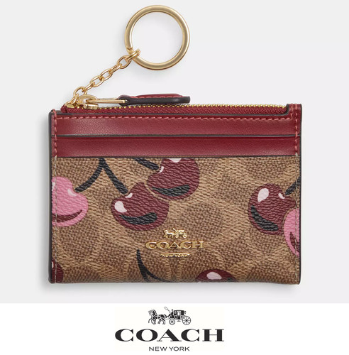 Nwt coach mini skinny - nwt, case