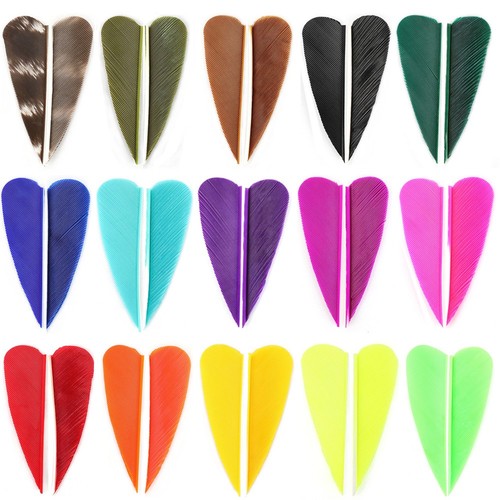 50x arrow feather natural - 2",