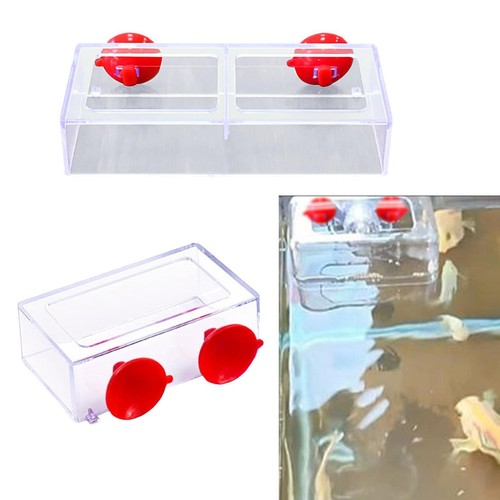 Feeding ring for - feeding,