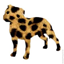 Staffordshire Bull Terrier