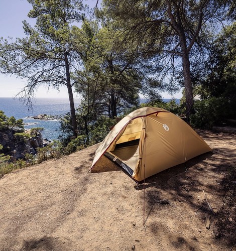 Coleman darwin summer - coleman,