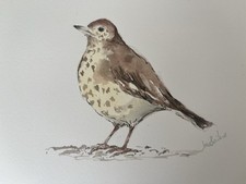 Set Of 4 Original Watercolour