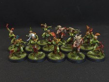 Blood Bowl Wood Elf team  -