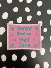 Girlguiding Senior
