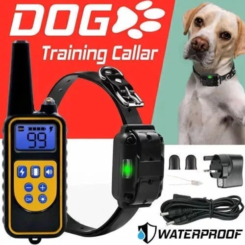 800m electric pet - electric, dog