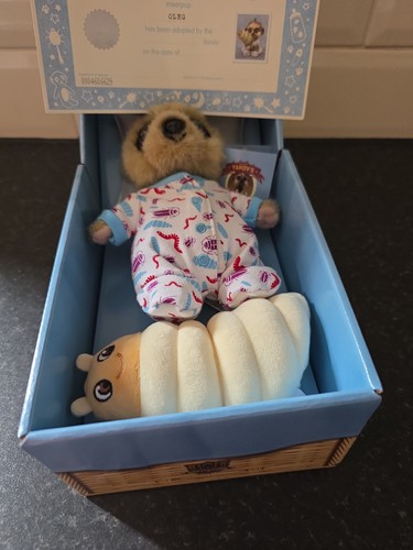 Compare the meerkat - meerkat, baby