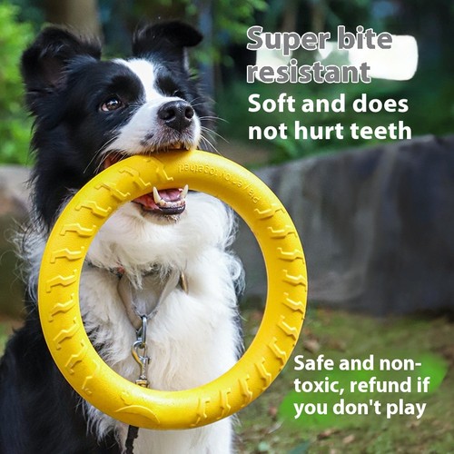 Dogjingdang dog training - dogjingdang,