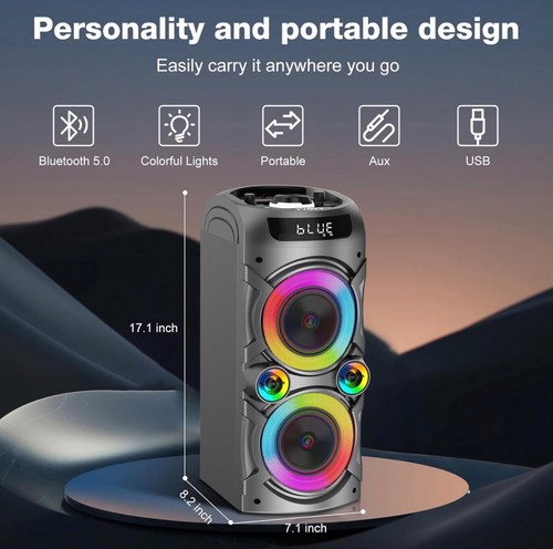 100w portable bluetooth - 100w,