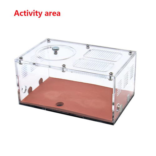 Acrylic ant farm temperature - farm,