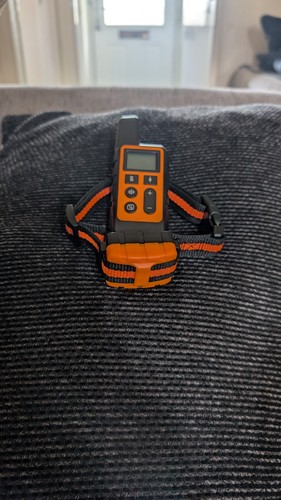 Dog training collar - training,