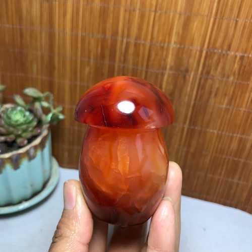 45mm rare natural - rare, red