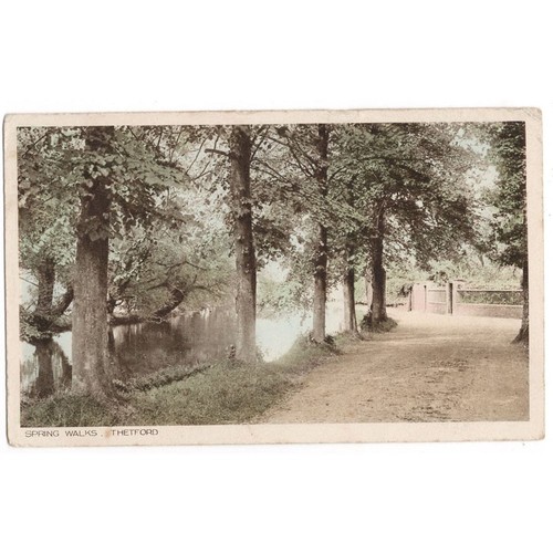 Thetford norfolk spring walks - thetford,