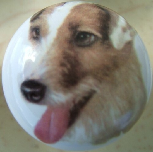 Cabinet knobs jack russell - cabinet,