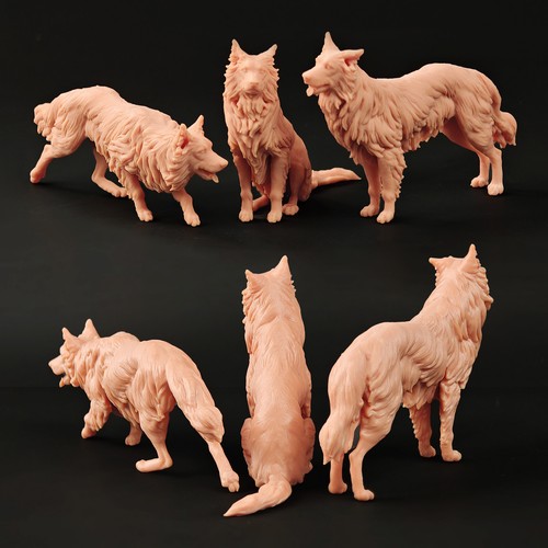35 border collie - 1/18, 1/35