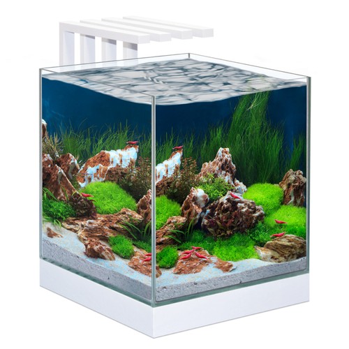 Ciano nexus pure - nexus, aquarium