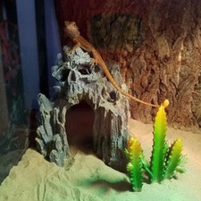 Aquarium Skull Cave Fish Tank